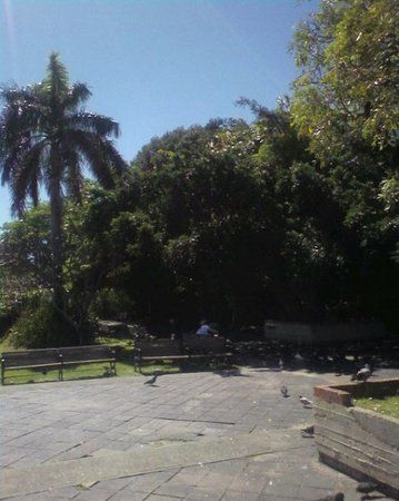 Parque Las Palomas